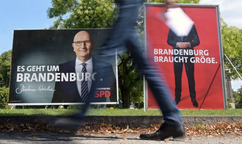 Landtagswahl in Brandenburg: Droht in Brandenburg das nächste Beben?