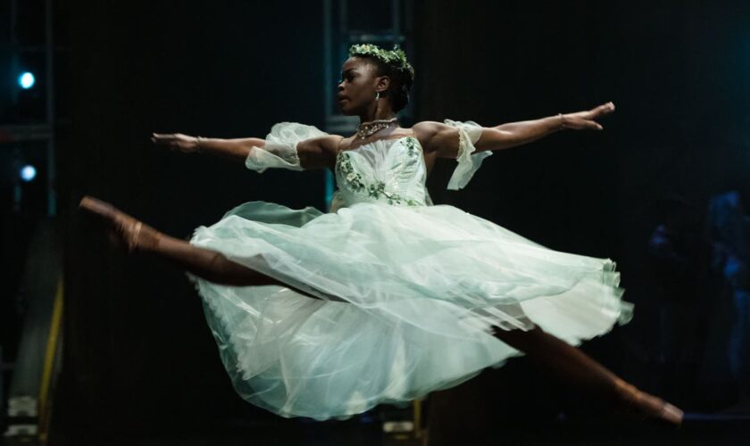 Michaela DePrince death: Ballet star who danced for Beyoncé dies at 29