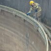 Cat stuck in 10-metre-deep tank at sewage plant rescued