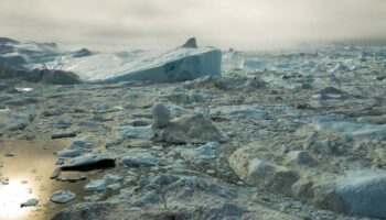 Un énorme glissement de terrain a déclenché un “méga-tsunami” qui a fait vibrer la Terre pendant neuf jours