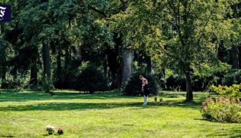 Das Feld der Namenlosen gibt es nicht mehr auf dem Hauptfriedhof