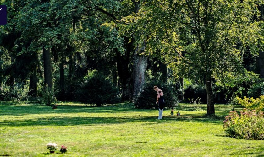 Das Feld der Namenlosen gibt es nicht mehr auf dem Hauptfriedhof