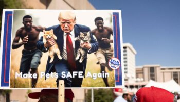 Une pancarte générée par l'intelligence artificielle de Donald Trump portant des chatons, à Tucson, dans l'Arizona, le 12 septembre 2024