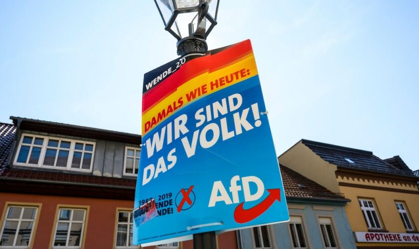 Une affiche électorale du parti d'extrême droite AfD, le 28 août 2019 à Zehdenick, dans le Land allemand de Brandebourg