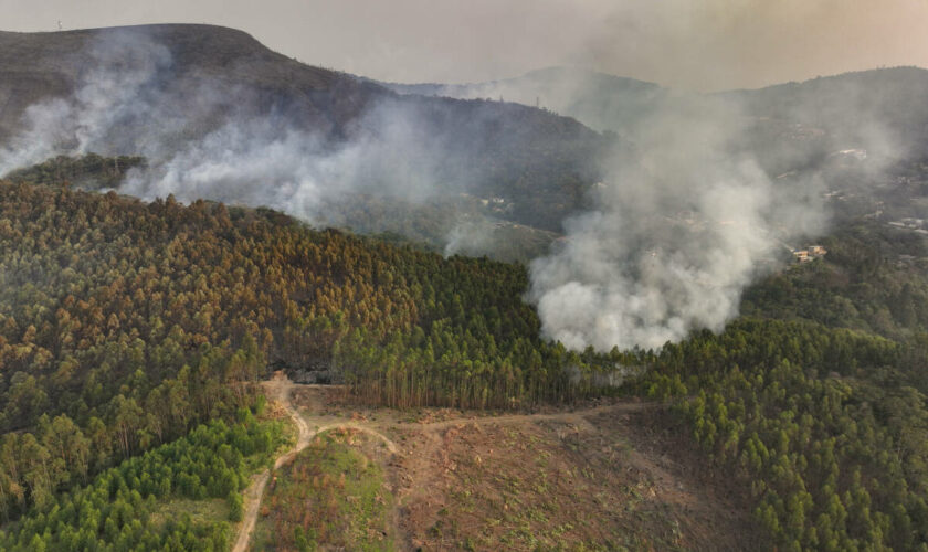 Le Brésil continue de lutter contre de nombreux incendies, aggravés par la pire sécheresse de son histoire