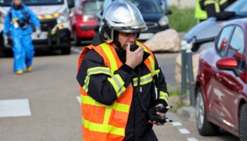 Comment freiner la vague épidémique qui frappe les élevages en France ?