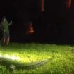 Florida officials caught on camera wrangling 8-foot alligator lurking around front yard of home