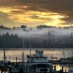 River otter drags child underwater in horror Washington marina attack