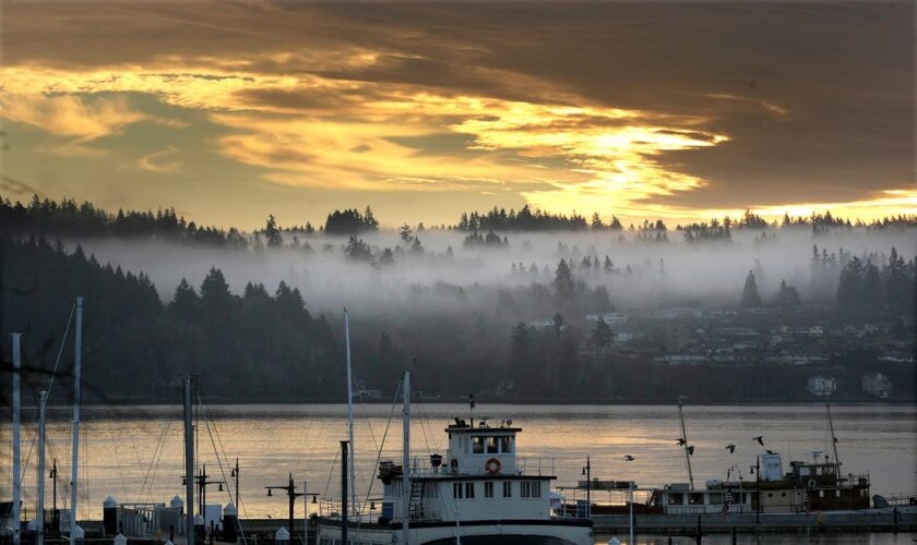 River otter drags child underwater in horror Washington marina attack