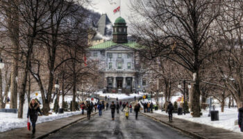 “Signaux d’alarme au rouge” pour les admissions dans les universités canadiennes