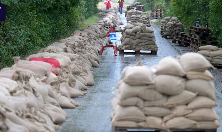 Hochwasser in Brandenburg befürchtet: „Die Welle kommt erst noch“