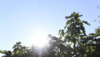 Météo : la chaleur revient, mais attention aux orages et à la pluie dès mercredi dans ces régions