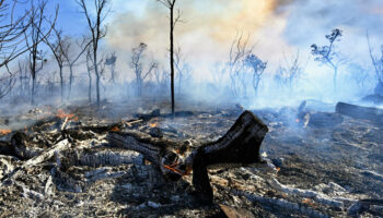 Au Brésil, le parc national de Brasilia touché à son tour par un incendie