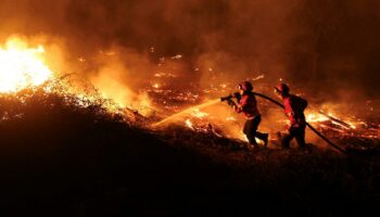 Extremwetter: Mehrere Tote bei Waldbränden in Portugal