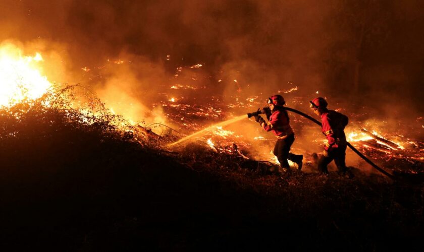 Extremwetter: Mehrere Tote bei Waldbränden in Portugal