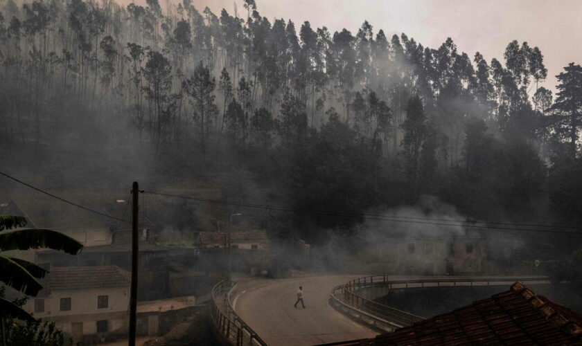 Le Portugal en proie à des feux de forêts : sept morts et l’aide européenne sollicitée