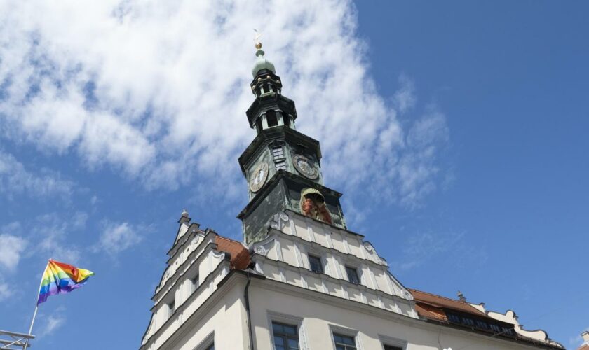 Sachsen: Pirna baut Ausstellung über Geflüchtete noch vor Eröffnung wieder ab