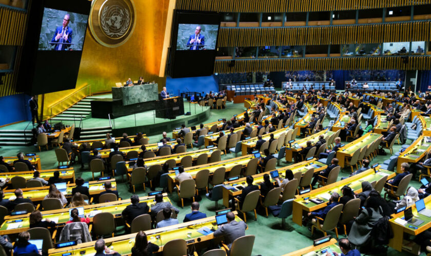 🔴 En direct :  l'Assemblée générale de l'ONU vote sur un appel à faire cesser l'occupation israélienne