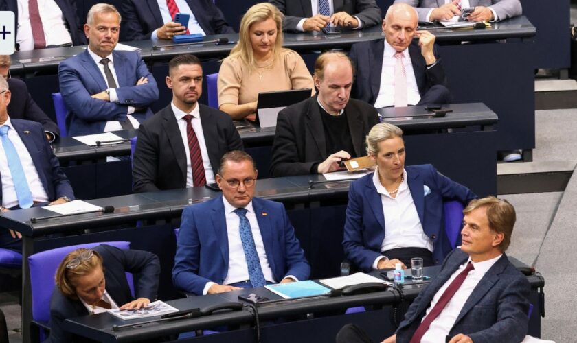 F.A.Z. Frühdenker: Hat die AfD ein Recht auf Ausschussvorsitze im Bundestag?