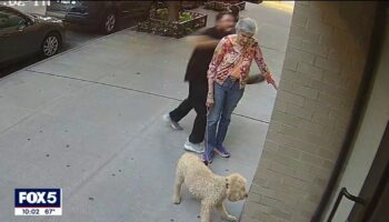 NYC woman, 81, walking dog feels 'lucky' to be alive after video shows man brutally punching her in the face