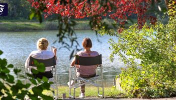 Wetterphänomen: Der Altweibersommer bringt die Sonne zurück