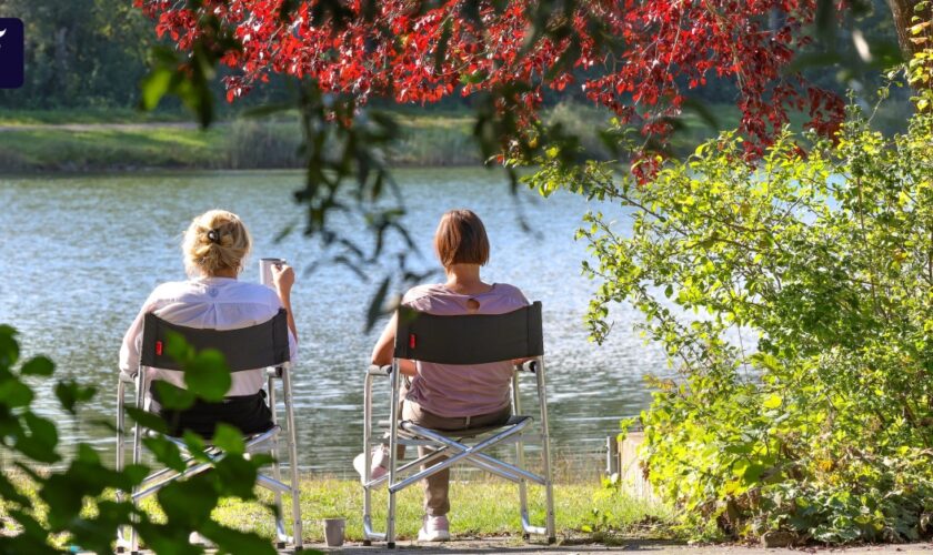 Wetterphänomen: Der Altweibersommer bringt die Sonne zurück