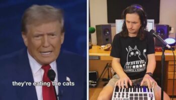 „They‘re eating the cats“-Sample – Musikalische Trump-Parodie geht viral