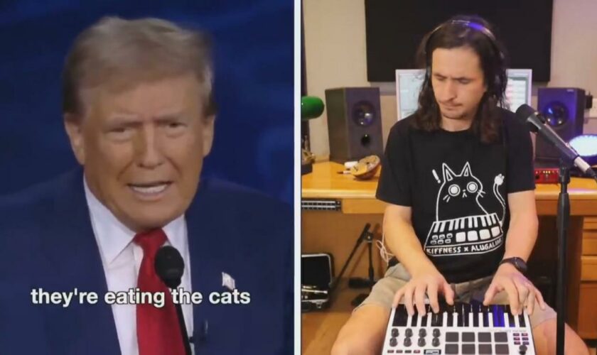 „They‘re eating the cats“-Sample – Musikalische Trump-Parodie geht viral