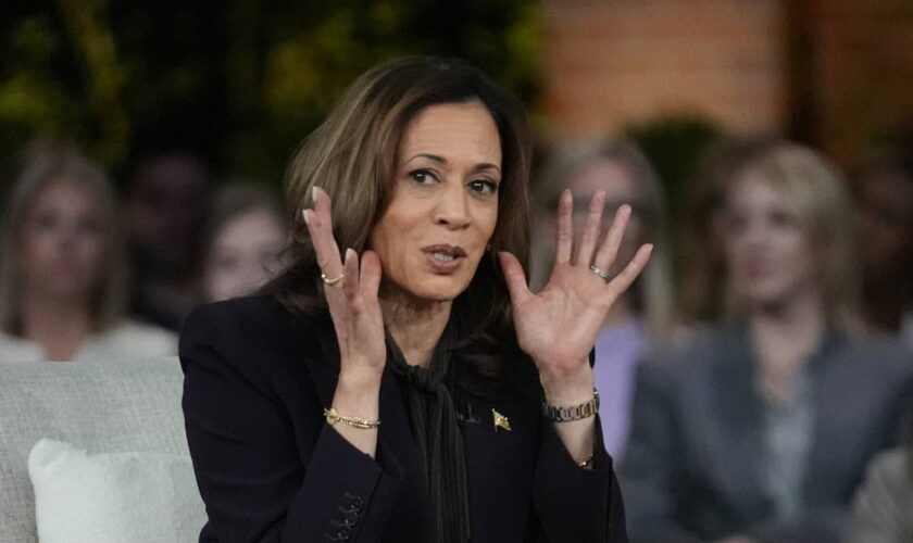 Kamala Harris : petit écart mais sondages favorables, les points forts et les points faibles de son programme