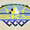 Chicago Sky players lament 'disgusting' vitriol they've received on social media this year: 'It's so hurtful'