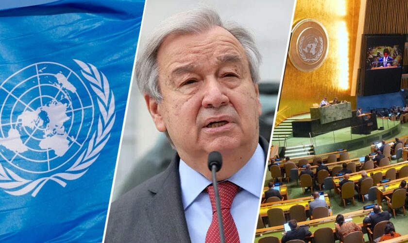 UN's 'Pact for the Future' full of empty promises, will be 'cudgel' to attack the United States, expert warns