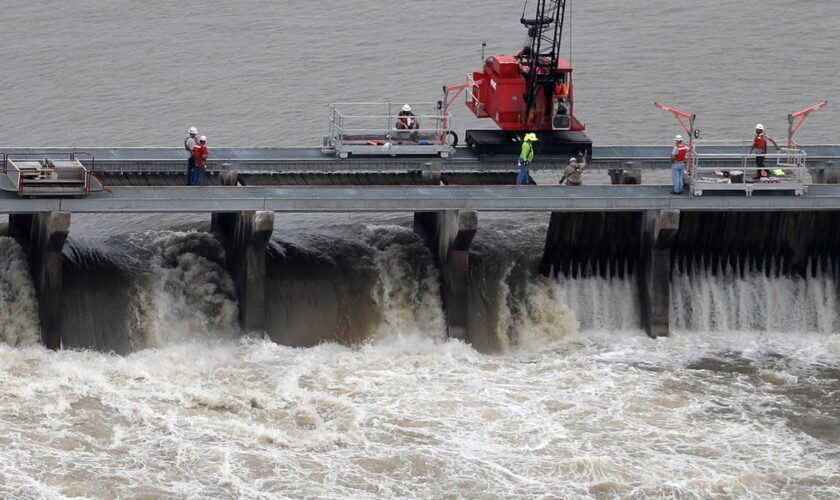 Judge dismisses lawsuit to protect dolphins along the Mississippi Gulf Coast after dozens were killed