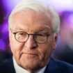 Bundespräsident: Steinmeier fordert von Digitalkonzernen mehr Einsatz gegen Hassrede