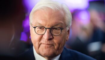 Bundespräsident: Steinmeier fordert von Digitalkonzernen mehr Einsatz gegen Hassrede