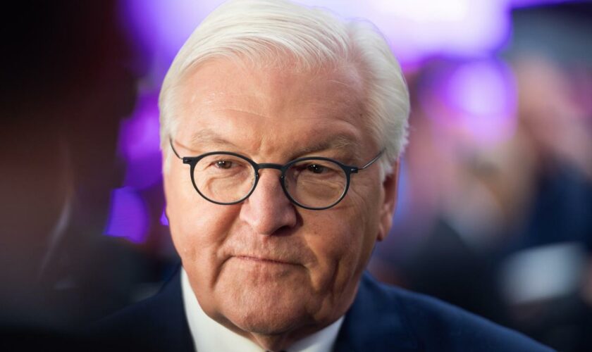 Bundespräsident: Steinmeier fordert von Digitalkonzernen mehr Einsatz gegen Hassrede