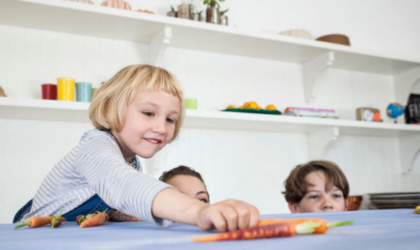 Troubles de l’attention chez l’enfant : la Haute Autorité de Santé liste ses pistes pour améliorer le diagnostic et le traitement