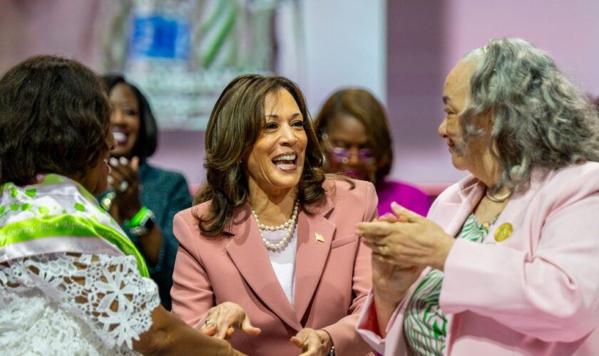 DALLAS, TEXAS - 10 JUILLET : La vice-présidente des États-Unis Kamala Harris salue les membres de la sororité Alpha Kappa Alpha après s'être exprimée au Kay Bailey Hutchison Convention Center le 10 juillet 2024 à Dallas, au Texas. La vice-présidente s'est adressée à environ 20 000 membres de sa sororité dans le cadre d'un effort continu de mobilisation en vue de l'élection présidentielle de novembre prochain.   Brandon Bell/Getty Images/AFP (Photo by Brandon Bell / GETTY IMAGES NORTH AMERICA / Getty Images via AFP)