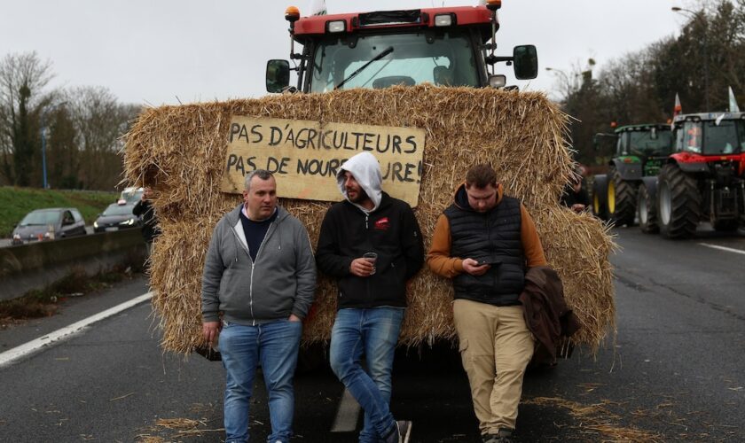 Manifestation d'agriculteurs à Chilly-Mazarin, dans l'Essonne, sur l'A6, le 1er février 2024