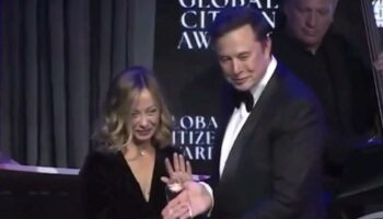 „Giorgia Meloni ist innen noch schöner als außen“, sagt Elon Musk