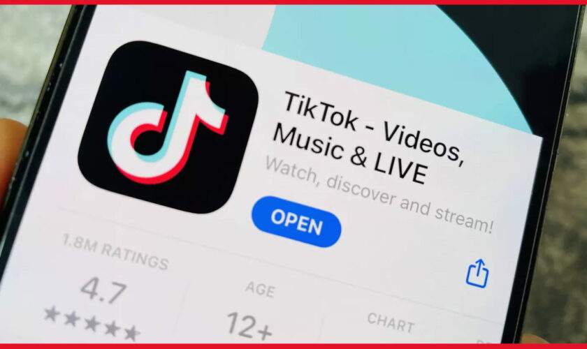 Vous avez toujours rêvé d'utiliser TikTok sans connexion internet ? Il existe une technique bien cachée pour ça