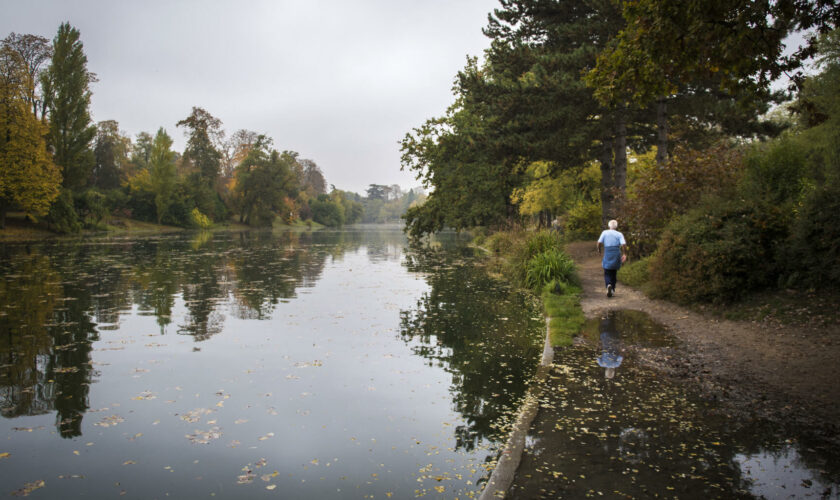 Mort de Philippine, enterrée dans le bois de Boulogne à Paris : ce que l’on sait du profil du suspect