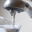 Federal judge orders EPA to further regulate fluoride in drinking water due to concerns over lowered IQ in kid