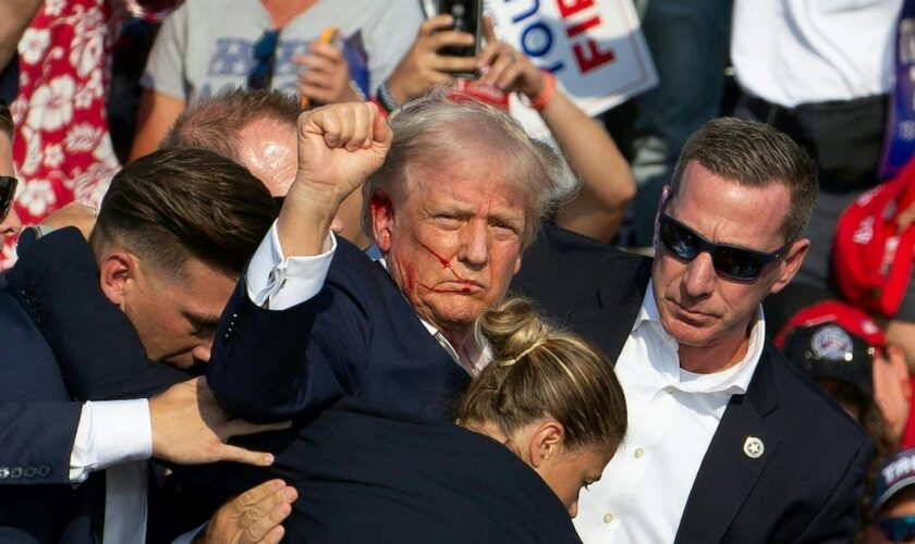 L'ancien président américain Donald Trump, blessé à l'oreille, lève le poing avant d'être évacué de son meeting de campagne à Butler, le 13 juillet 2024 en Pennsylvanie