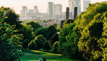 Allo les urbanistes ? Ici la terre