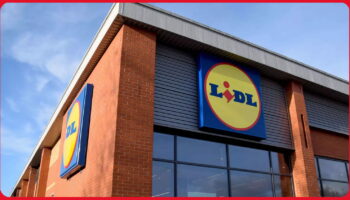 Lidl recrute sans expérience et paie entre 2000 et 3000 euros net par mois, voici les postes ouverts à l'embauche