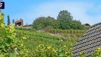 Wandertipp zum „besten Riesling der Welt“ in Unterfranken