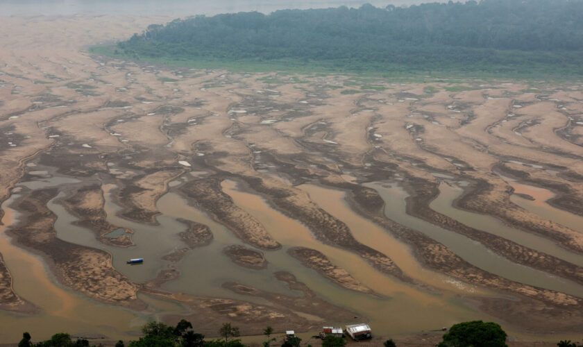 En Colombie, le fleuve Amazone réduit à peau de chagrin à cause de la sécheresse, les images vues du ciel