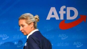 Bundestagswahl 2025: Alice Weidel soll AfD-Kanzlerkandidatin werden