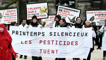 L’industrie agrochimique fiche les personnalités critiques des pesticides et des OGM