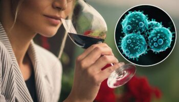 Drinking alcohol is linked to six types of cancer, experts say: ‘It’s toxic’